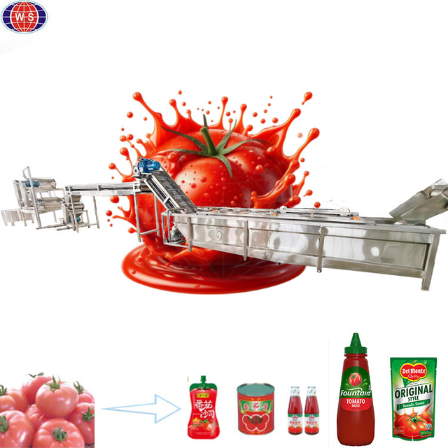 Fabrikant van tomatenpureeproductielijnen
