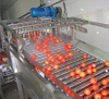 Progetto chiavi in ​​mano di macchina per la produzione di concentrato di pomodoro di alta qualit&agrave;